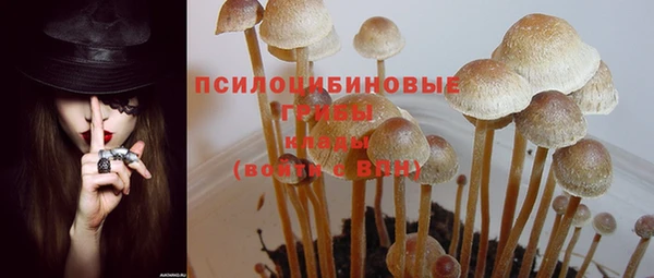 ешки Магадан