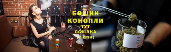 прущие грибы Майский