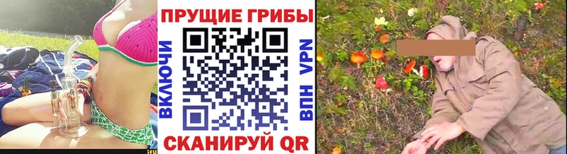 даркнет сайт  Пудож  Галлюциногенные грибы Psilocybine cubensis 